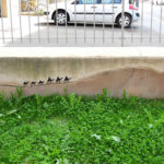 street_art_french_oakoak_21