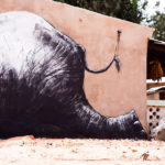roa_street_art_gambia_3 Jonx Pillemer
