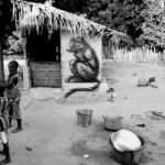 roa_street_art_gambia_8 Jonx Pillemer