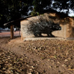 roa_street_art_gambia_9 Jonx Pillemer