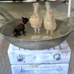 street_art_3d_eduardo relero_12