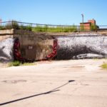 By ROA in Pilsen, Chicago, USA 2