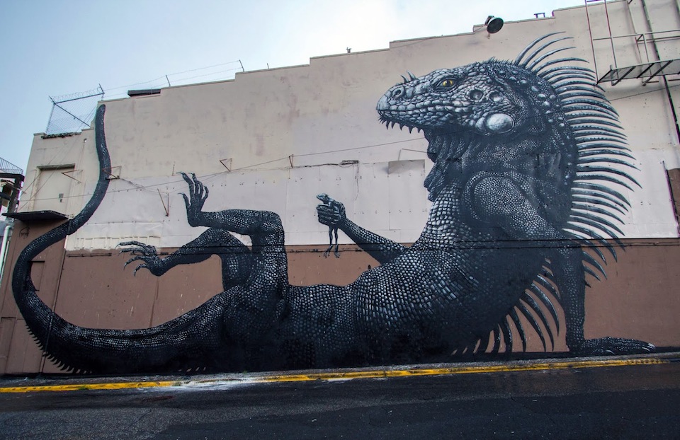 Street Art by ROA at Los Muros Hablan in San Juan, Puerto Rico 1