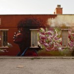 Street Art by Caktus and Maria 8