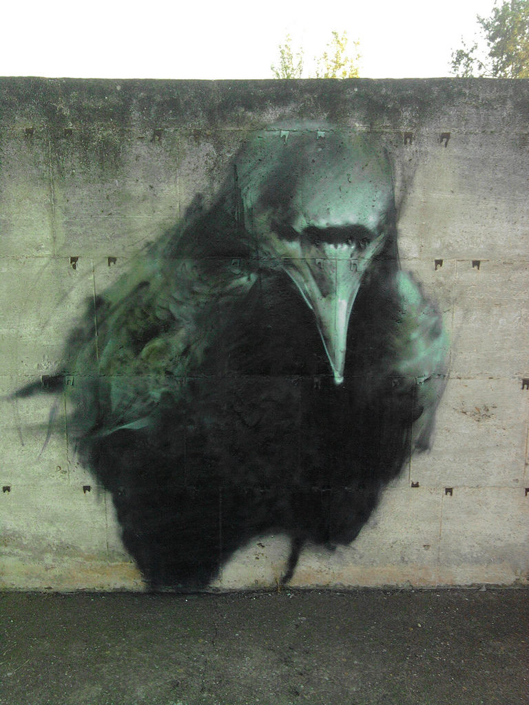Ravens by Mesa 1