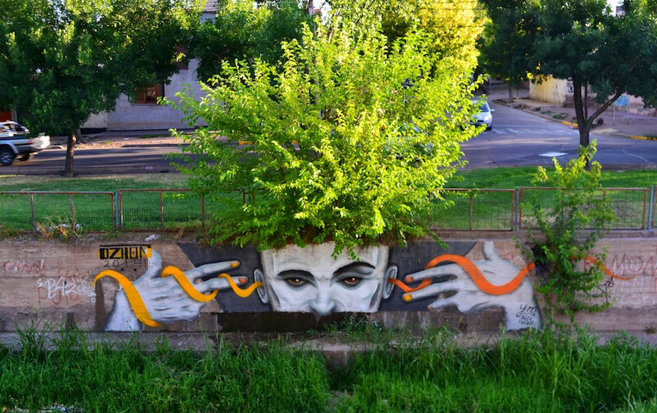 Street Art by Dzhon in Mendoza, Argentina