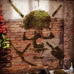 Moss Graffiti by GREEN in Lyon, France 1