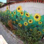 Street Art from Seoul Area, South Korea. Photo by Mark Johnson 36
