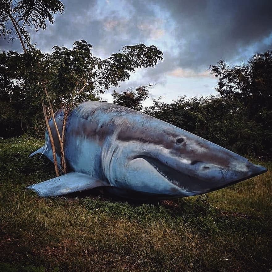 Street Art by Xanoy – Blue Shark Boat | Street Art Utopia