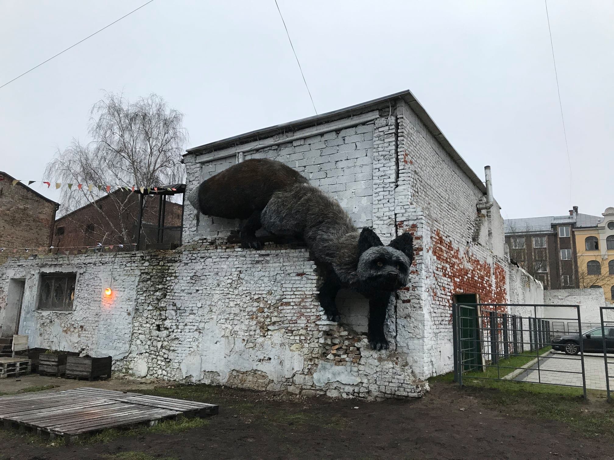 Black Fox – In Riga, Latvia (4 photos)