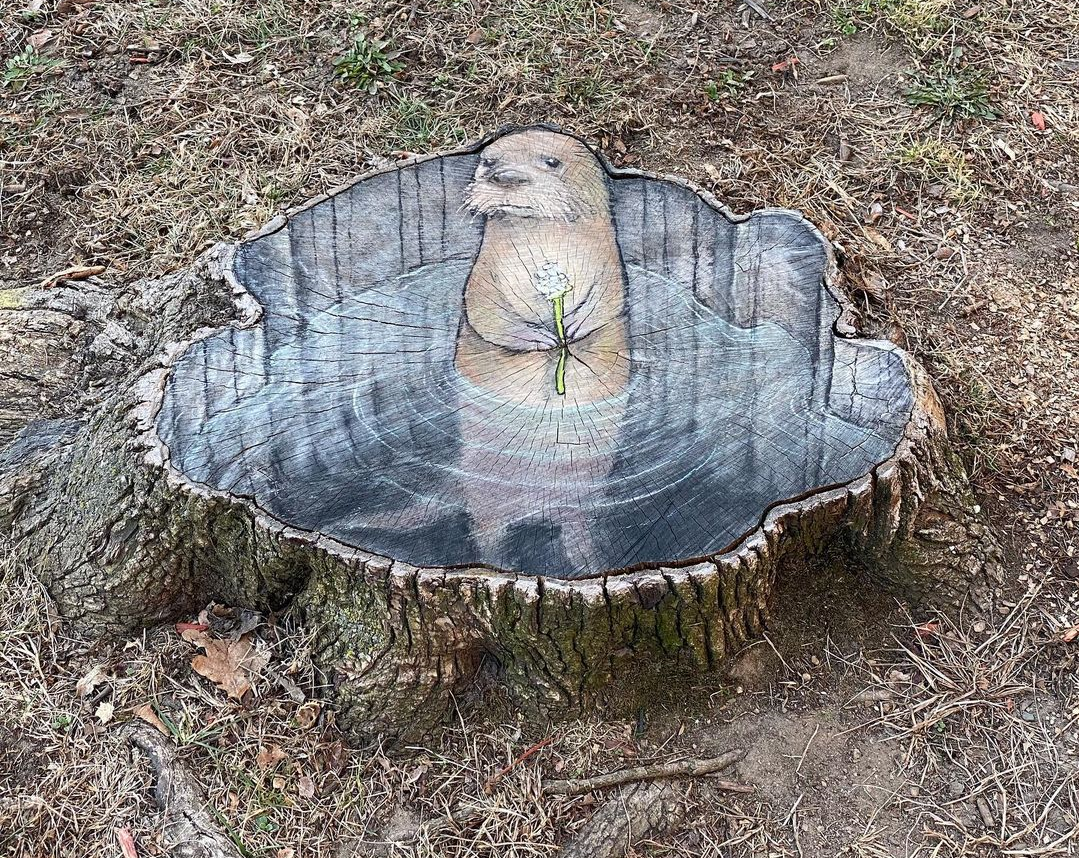 Chalk street art by David Zinn (3 photos)