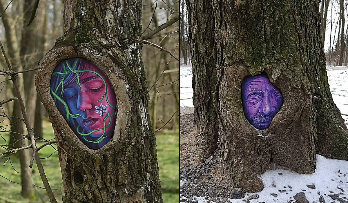The Trees Also Sleep: Mesmerizing Art Installation Transforms Debrecen’s Great Forest