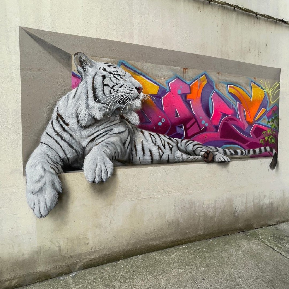I mainly paint animals threatened with extinction (graffiti by Dave  Baranes) | STREET ART UTOPIA