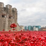Armistice-Day-in-2018-888246-ceramic-poppies-poured-like4