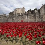 Armistice-Day-in-2018-888246-ceramic-poppies-poured-like6