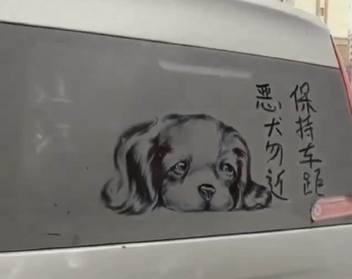 This car can not be washed again (reverse graffiti)