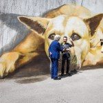 street-art-mural-Dog-by-Giulio-Masieri-in-Pordenone-Italy-2