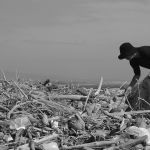 Japanese-artist-Nagato-Iwasaki-10