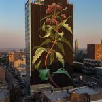 Mural-by-Mona-Caron-of-wild-plant-flower-Joe-Pye-weed-in-Jersey-City-New-Jersey-New-York-USA-1