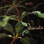 Mural-by-Mona-Caron-of-wild-plant-flower-Joe-Pye-weed-in-Jersey-City-New-Jersey-New-York-USA-3