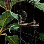 Mural-by-Mona-Caron-of-wild-plant-flower-Joe-Pye-weed-in-Jersey-City-New-Jersey-New-York-USA-4