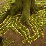 Land-Art-by-James-Brunt-2-in-Syria