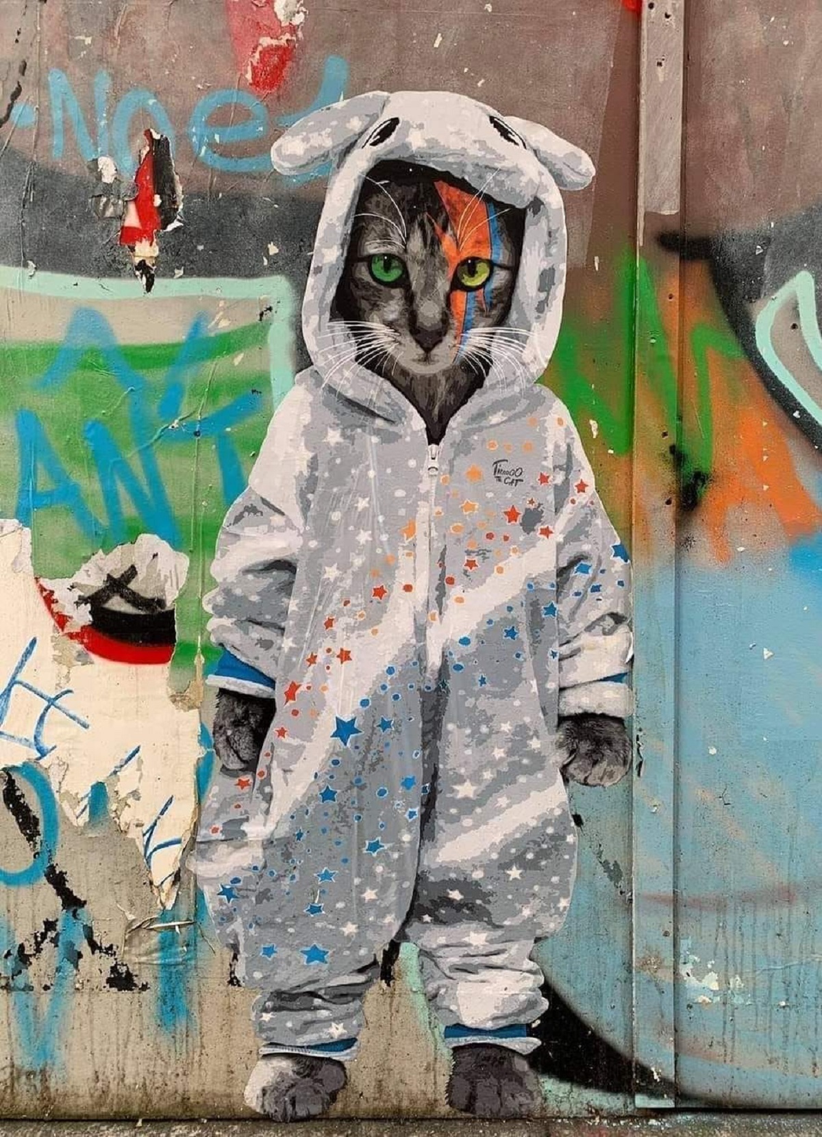 Meow meow (5 photos)