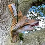 Street Art by Syd from The Stencil Shed Malmesbury, UK 4 When nature meets Spray Paint