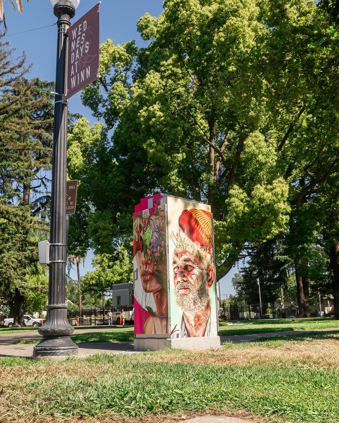Portraits on Electrical boxes by Brandon Gastinell in Sacramento