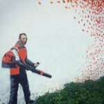 Van-Gogh-and-Dali-mural-by-Мишкин-Mishkin-in-Vladimir-Russia-for-33zagfest-5