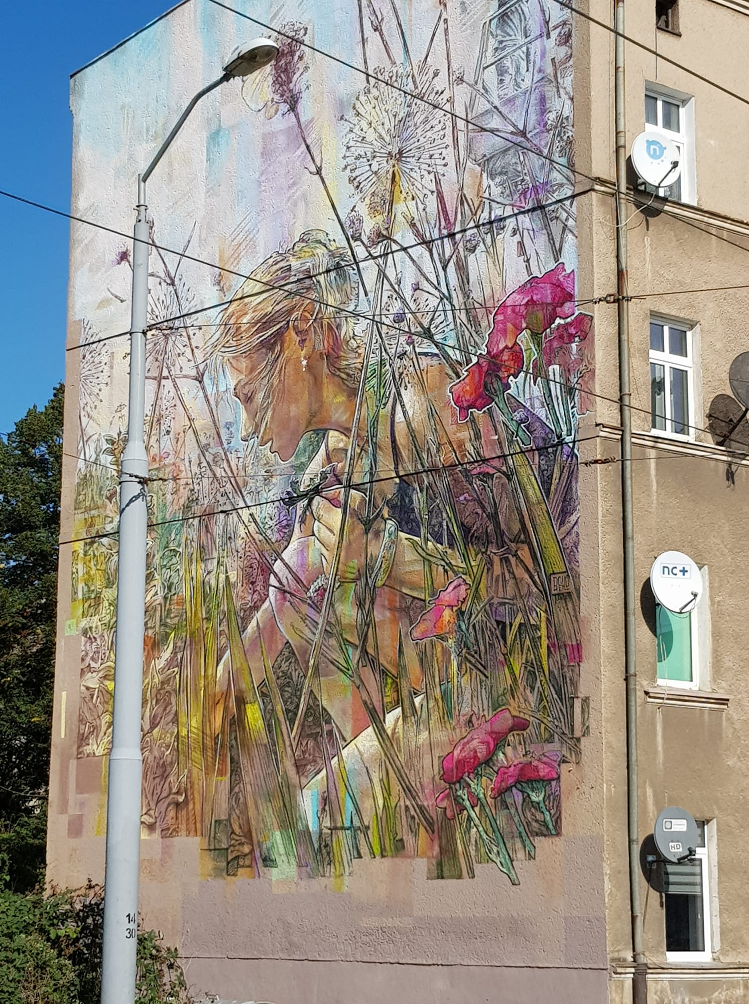 7 photos – Flower Mural by Krzysztof Bitka in Szczecin, Poland