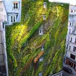 Paris-stunning-living-wall-Artist-Patrick-Blancs