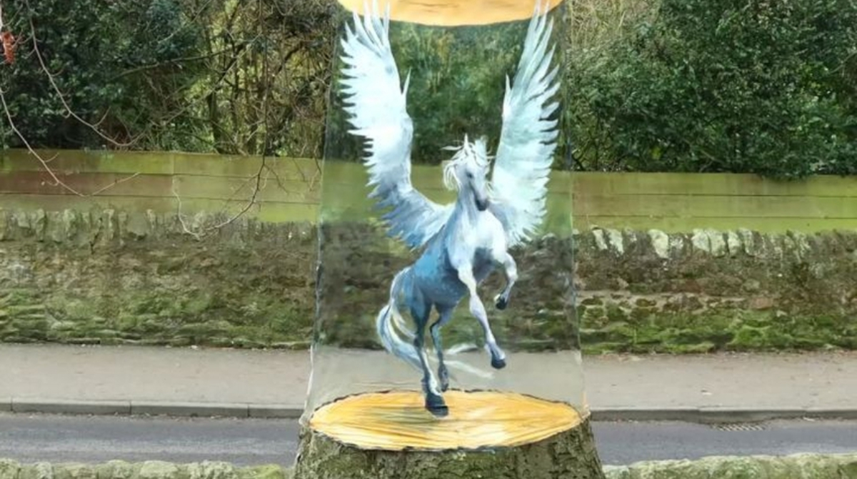 Pegasus Tree Illusion by Howard Lee