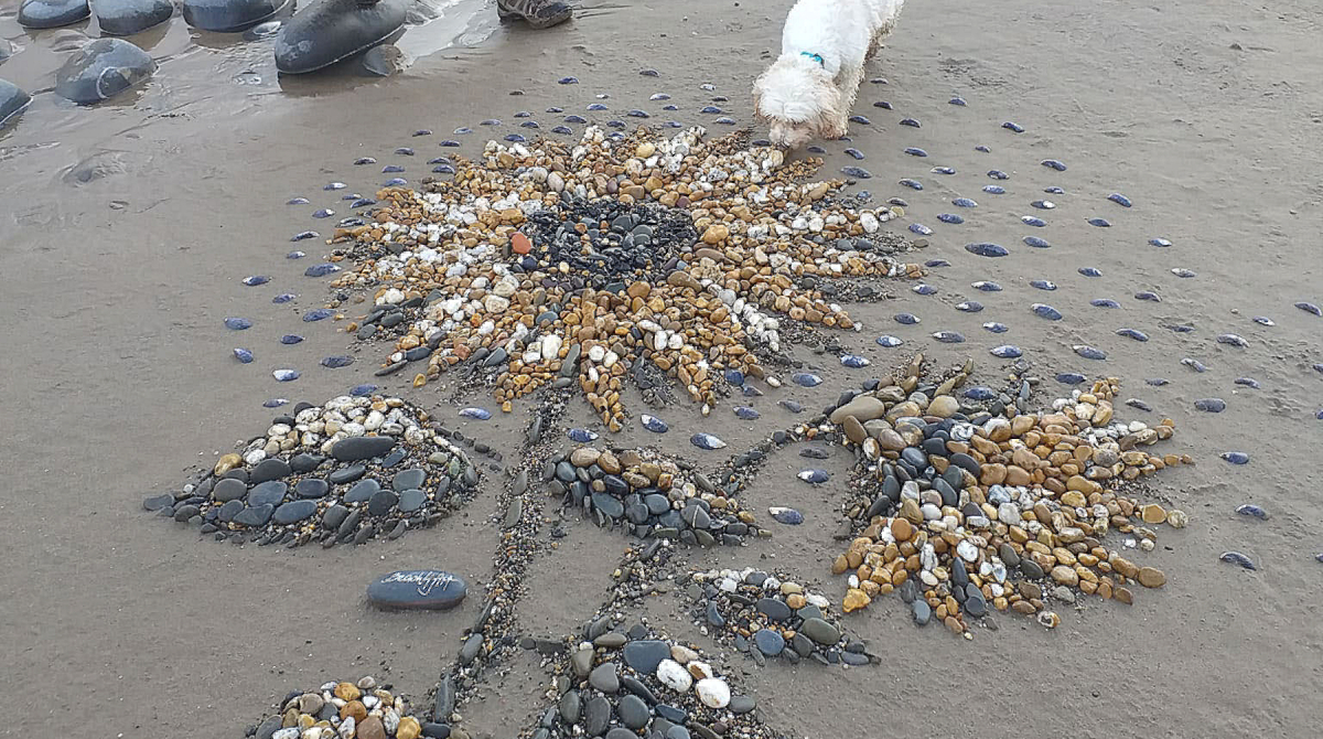 The Sunflower of Peace