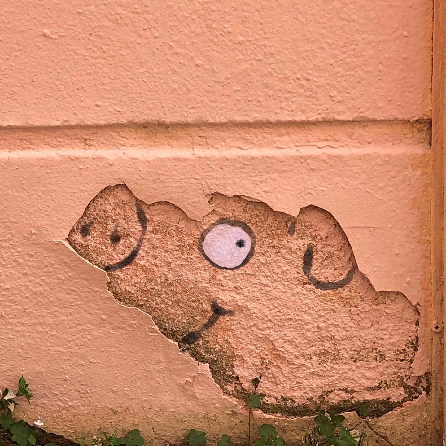 Street Art by CAL in Lyon, France (3 photos)