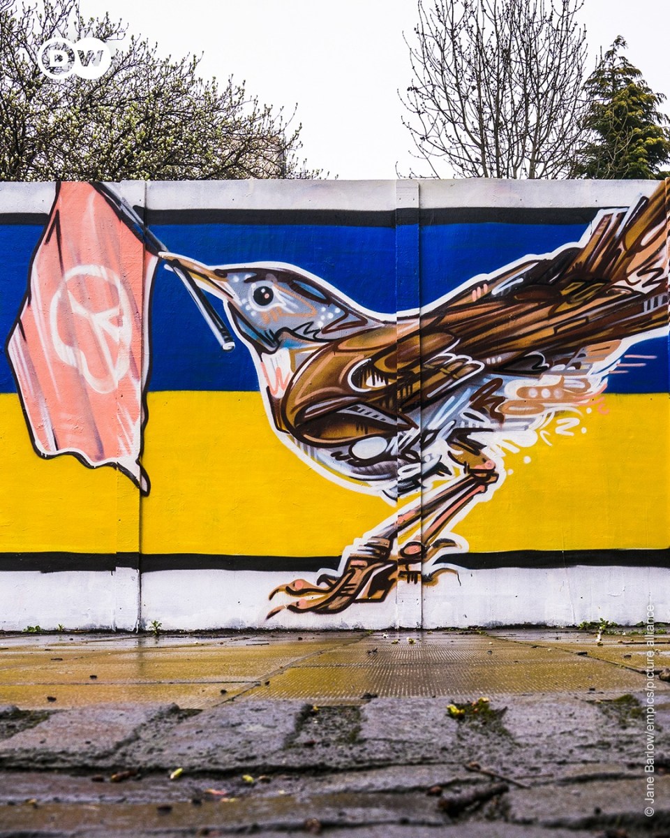 The common nightingale is the Ukraine's national animal. This one is  holding a peace flag in its beak – as a sign of hope for the end of the war  | STREET