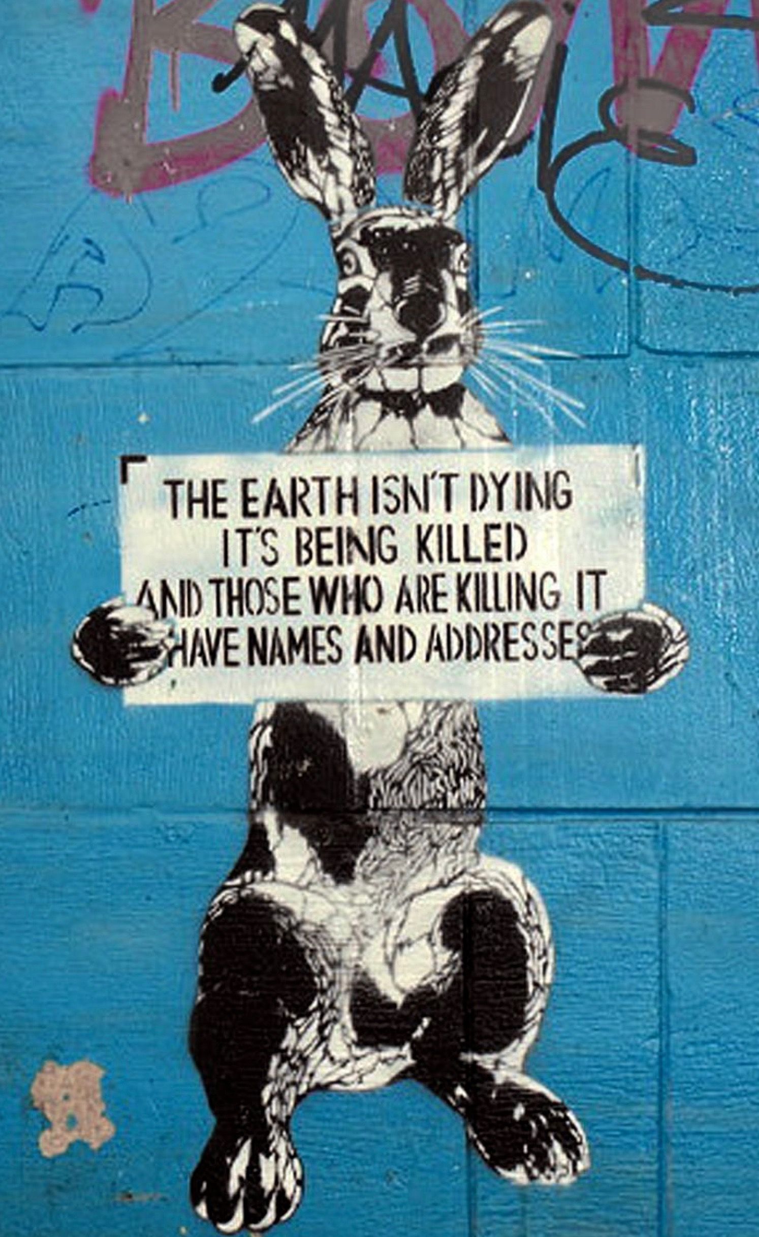 The earth isn’t dying it’s being killed and those who are killing it have names and addresses
