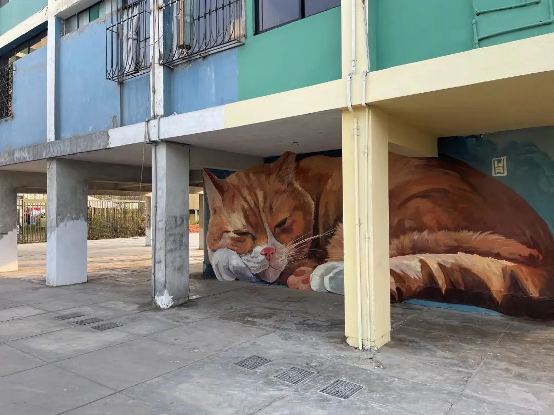 Sleeping-kitten-2-by-WA-in-Lima-Peru-cat-street-art-mural-5.jpg