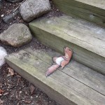 2-Nathans-life-goal-is-to-redefine-squirrelly.