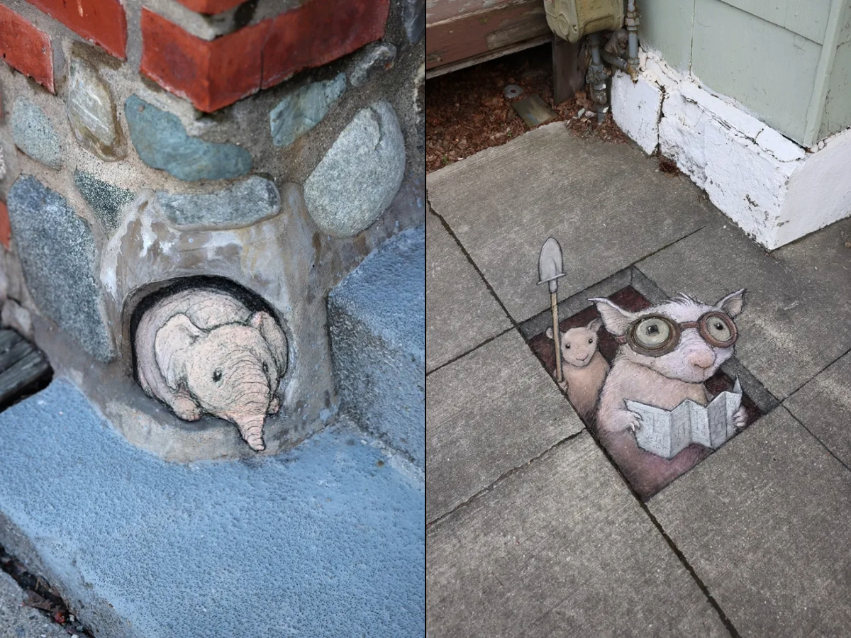 10 Cute Chalk Art Paintings By David Zinn