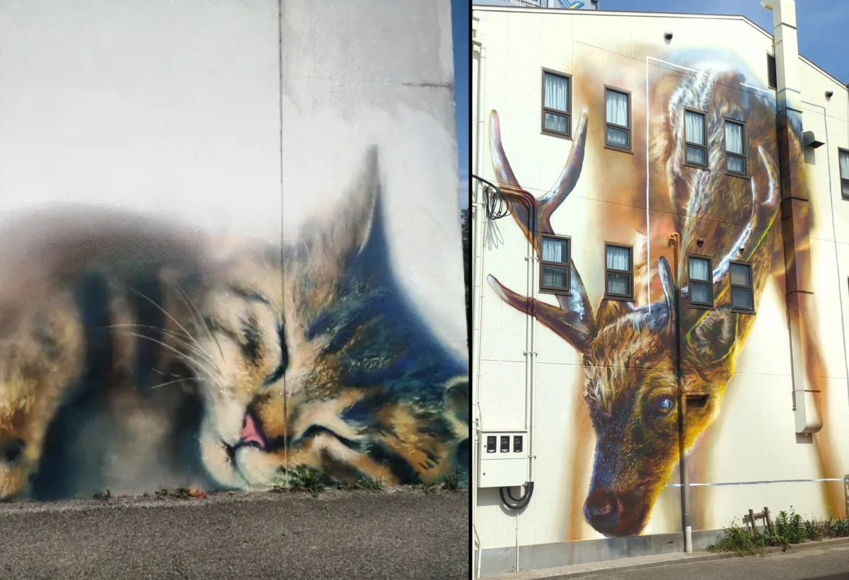 6 Unbelievable Animal-Inspired Murals by Jack Lack (Including a Sleepy Cat and Submerged Whales)