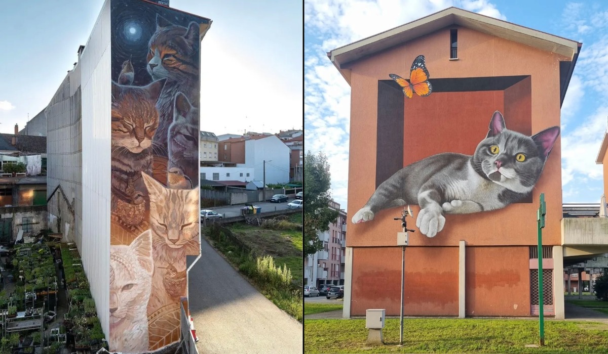 Cats On Walls (9 Photos)