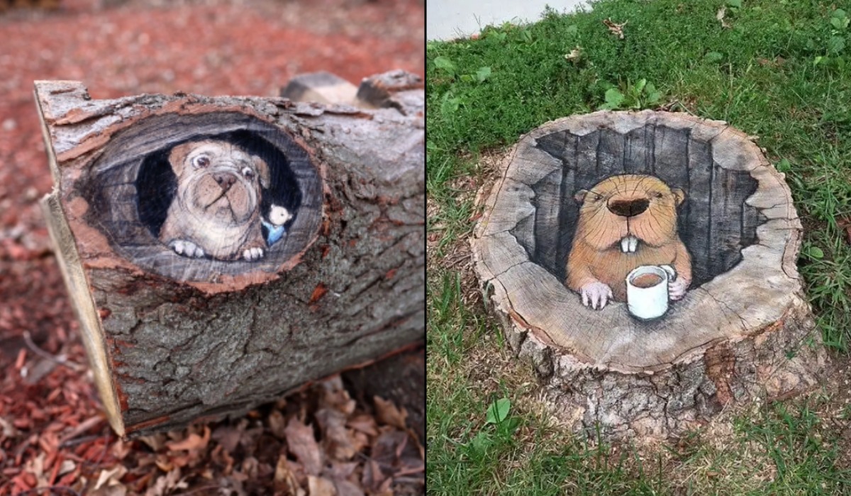 David Zinn’s Hidden Chalk Art (12 Photos)