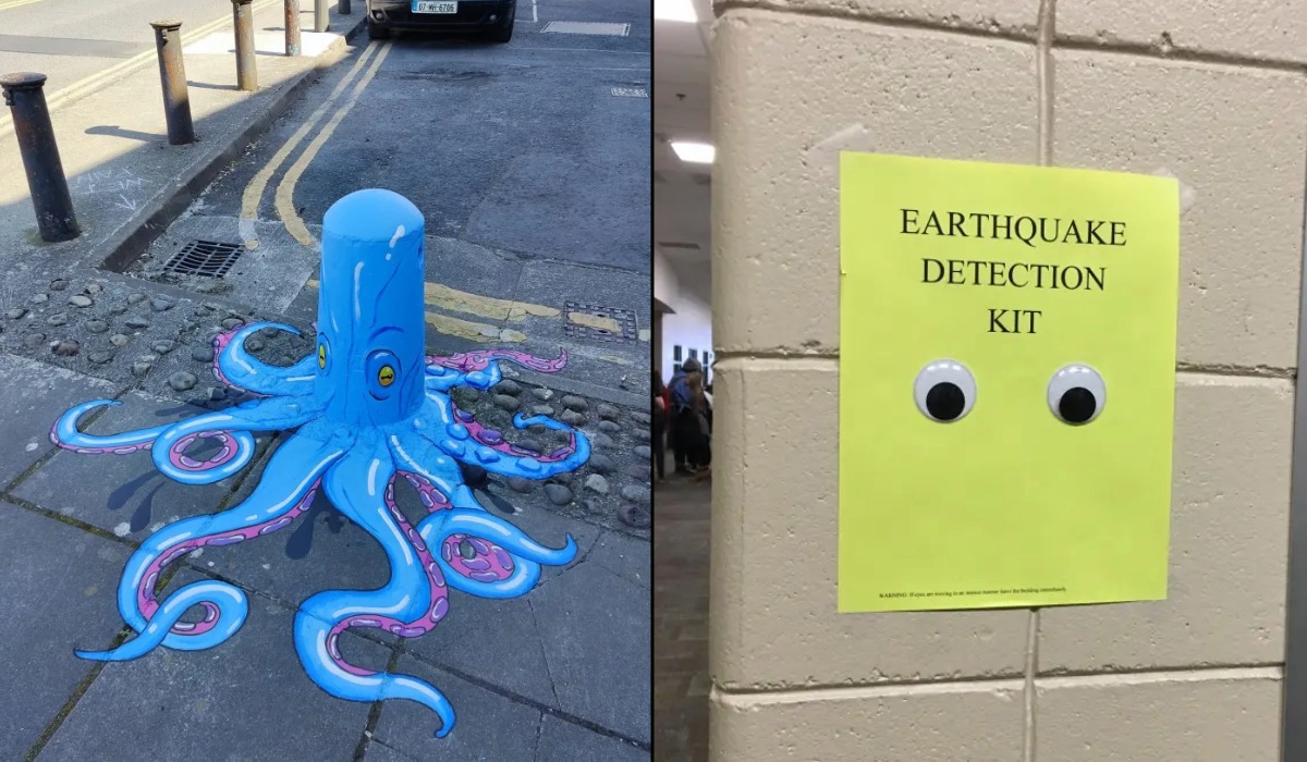 Made You Joyful (8 Photos)