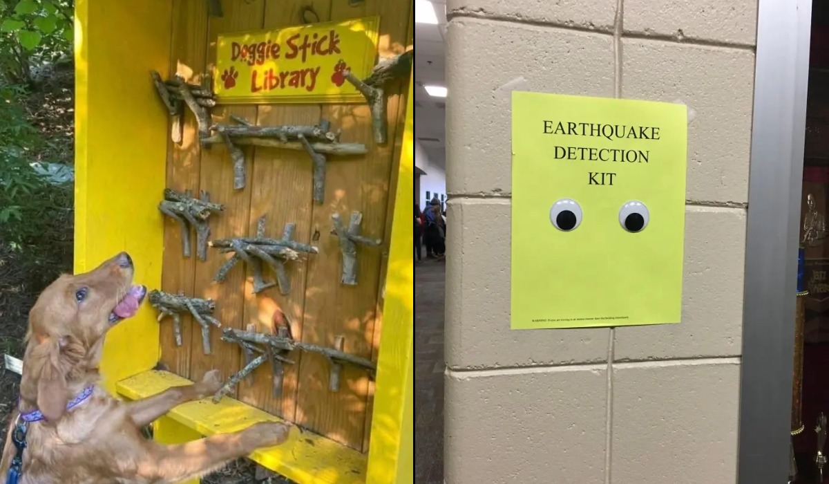 Silly Sarcastic and Cute Signs (12 Photos)