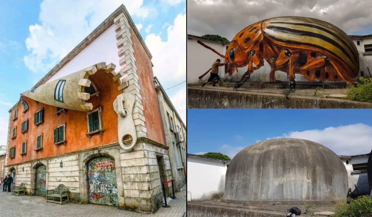 Wait, What (8 Photos)