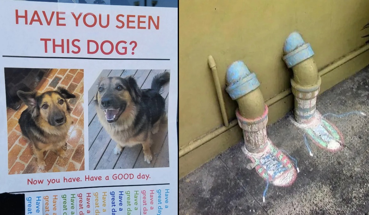 Made You Smile (16 Photos)