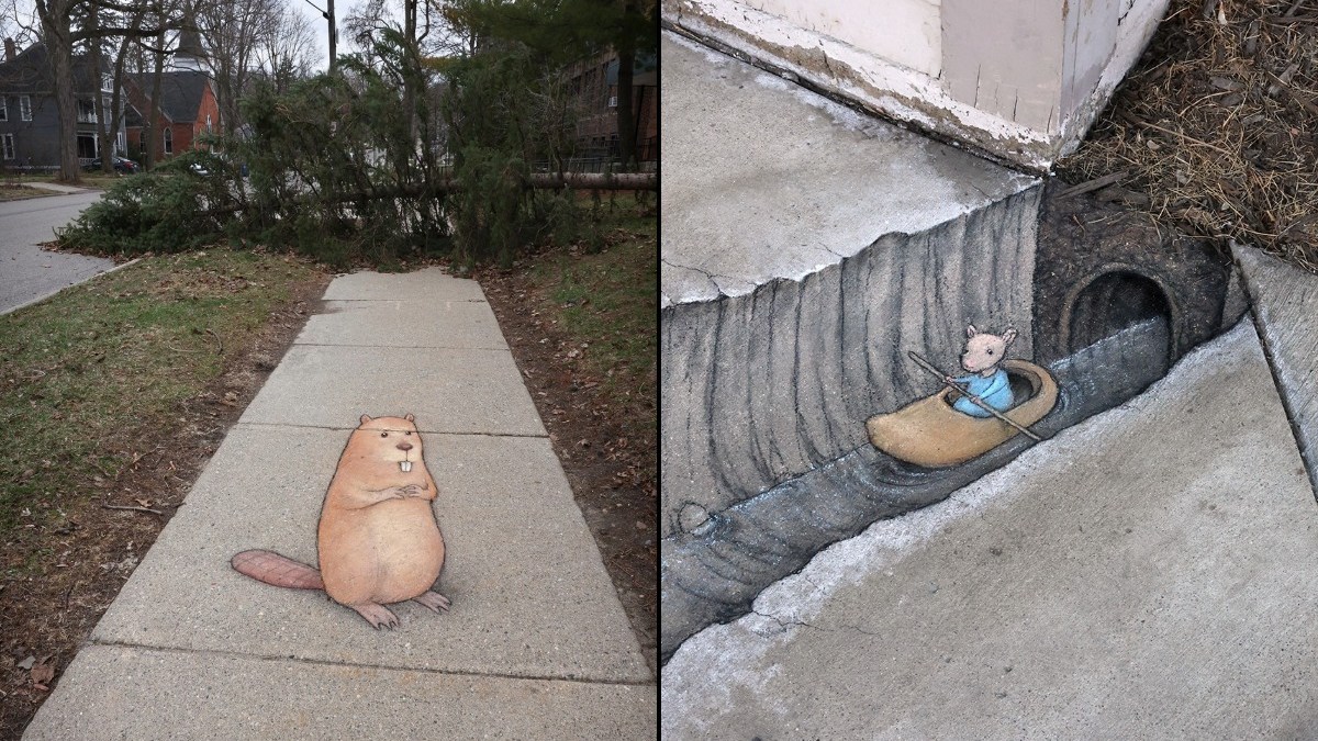Look Down: 19 Times David Zinn Made the Sidewalk Feel Alive (New Chalk Art!)