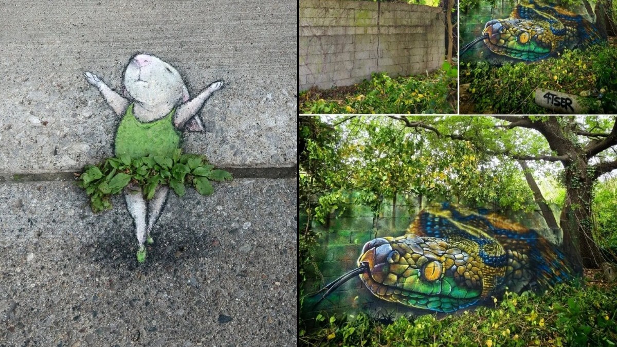 Feeling Alive (8 Photos)