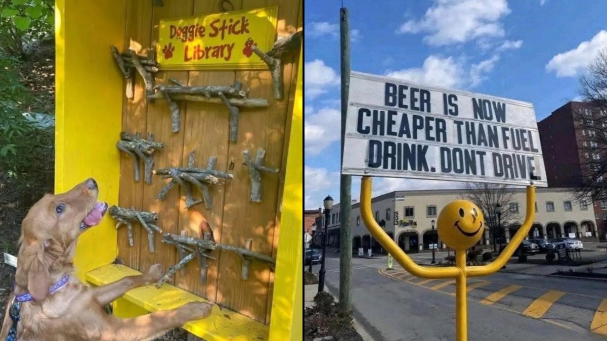 Clever Signs (8 Photos)